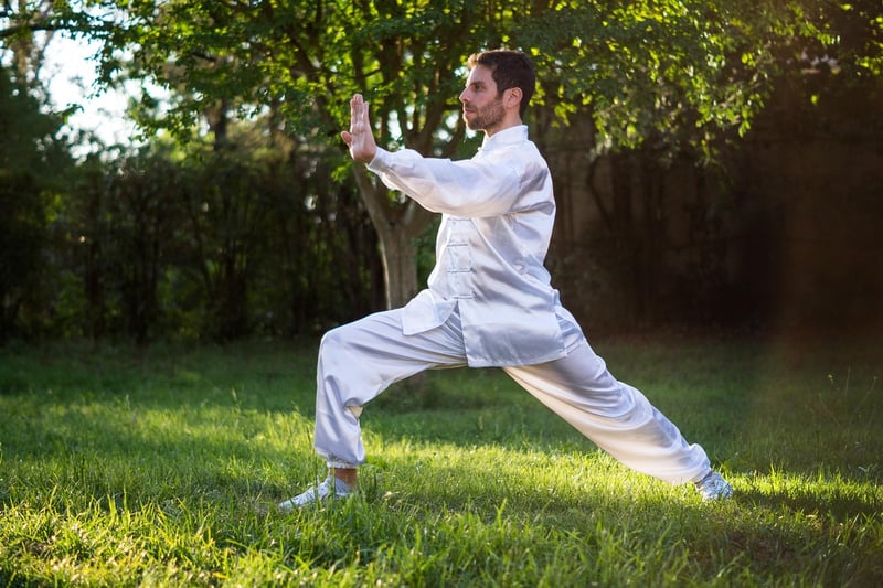 Chen Style Tai Chi Practitioner